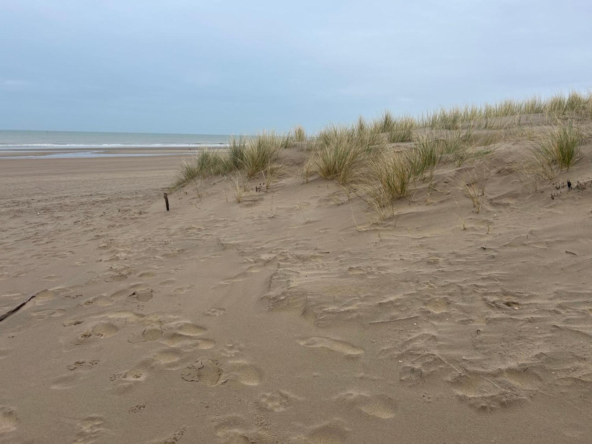 Centraal Gelegen Gezellig Verblijf Met Groot Terras Oostende Exterior foto